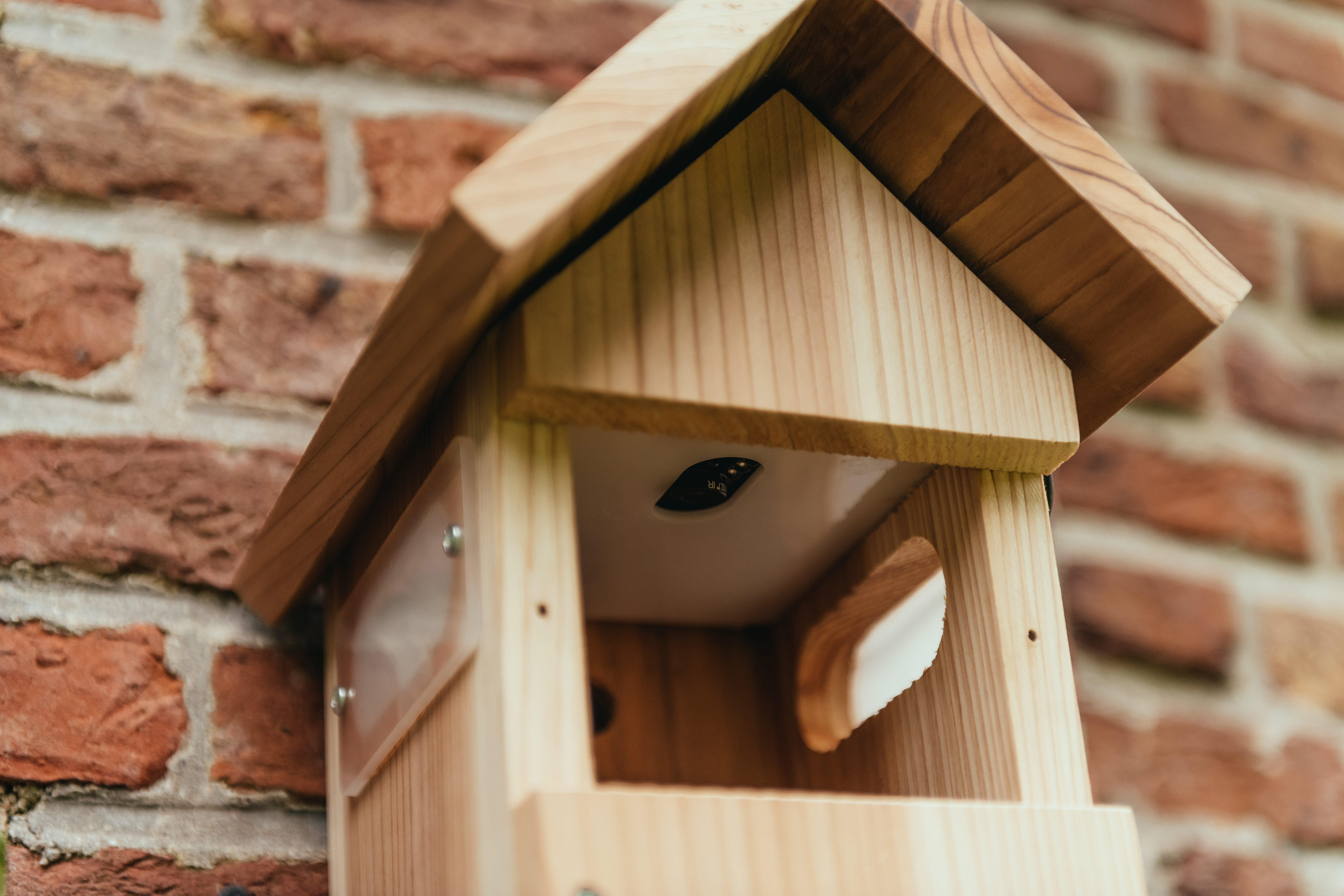 Nestera - Nestkast - met Wifi-Camera op Zonne-energie