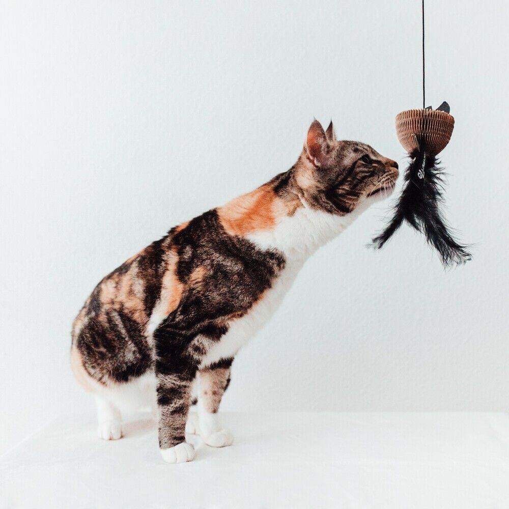District 70 BAIT - Kattenhengel - 20.00 cm - 5.00 cm - 10.00 cm