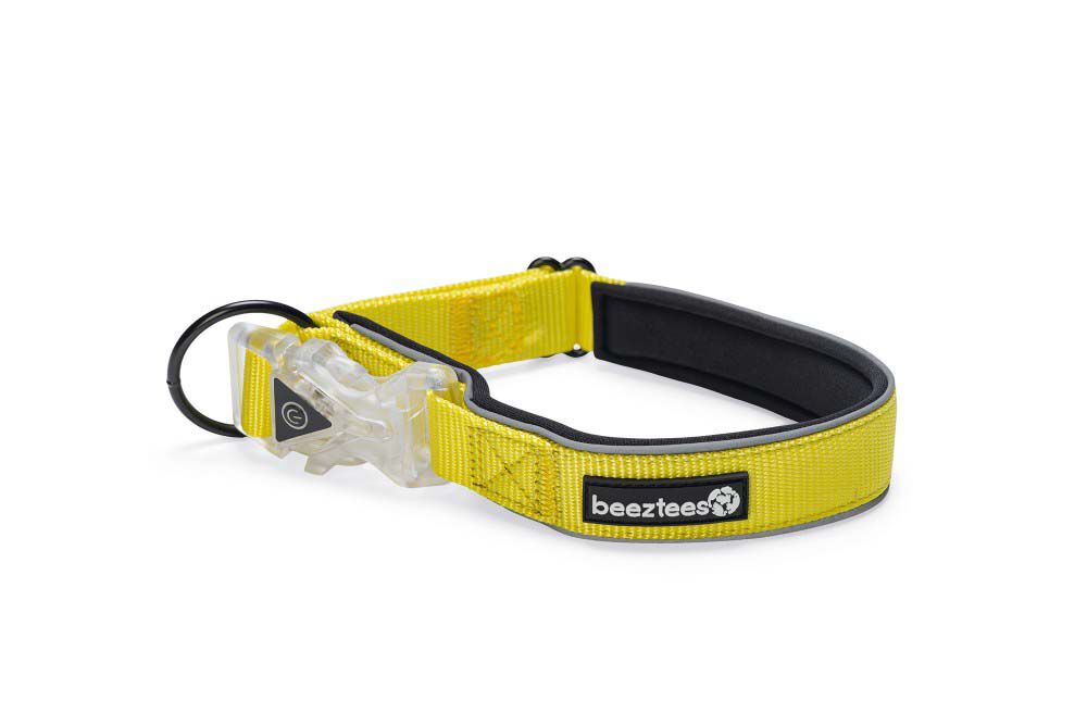 Beeztees Premium Parinca - Halsband Hond