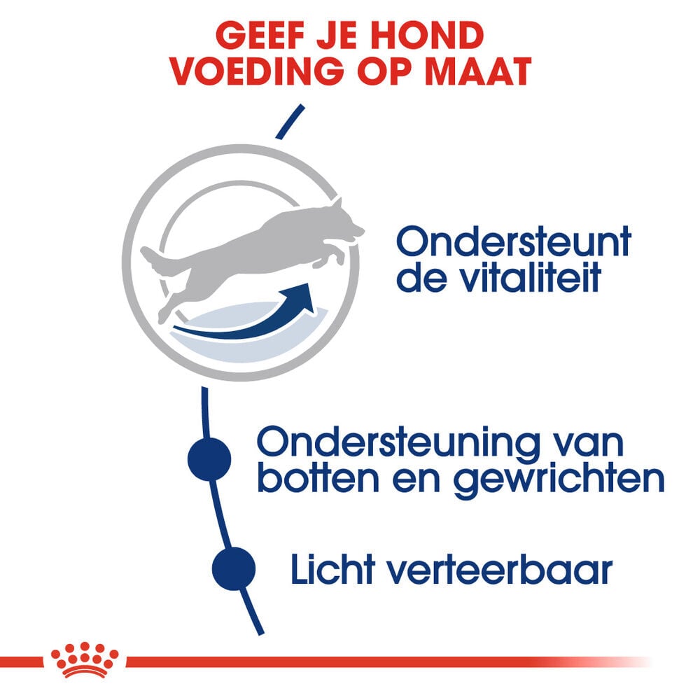 Royal Canin SHN Maxi Adult 5+ - Hondenvoer - 15 - gevogelte