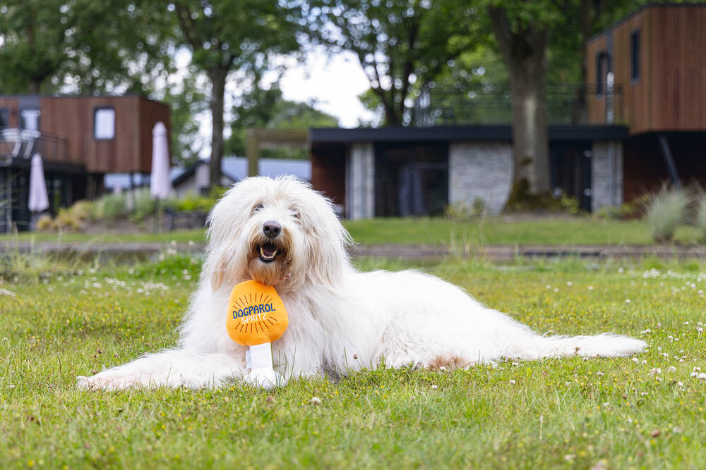 Beeztees Apawrol - Hondenspeelgoed - Oranje - 7.5x13x23 cm