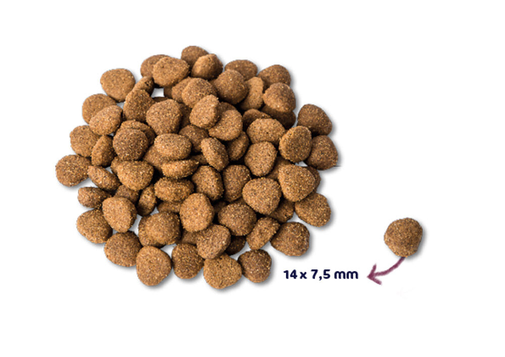 Renske Adult - Hondenvoer - 12.00 - eend, kalkoen