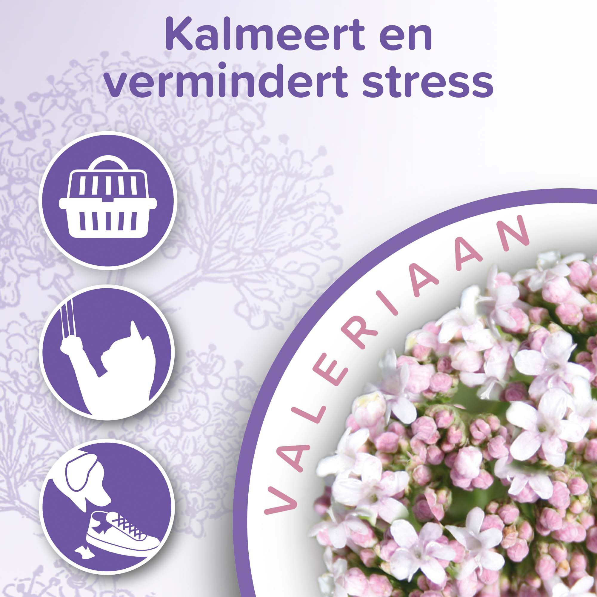 Beaphar No stress spray kat - Kalmeringsmiddel - 125