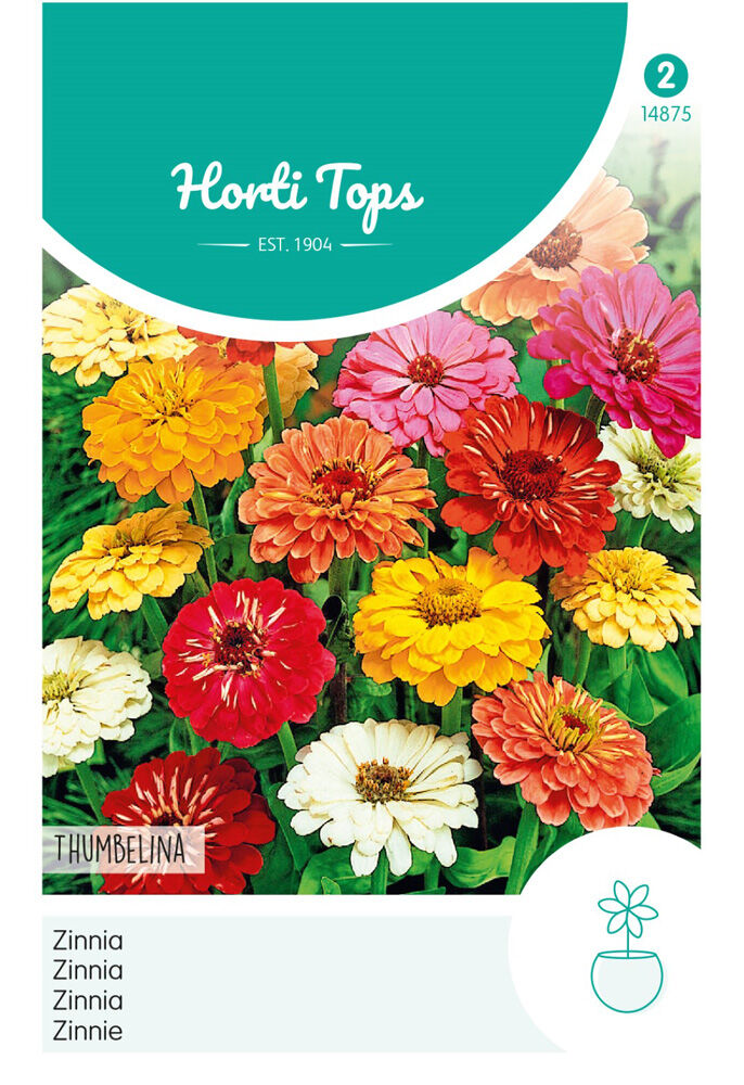 Hortitops Lage Zinnia Thumbelina - Bloemzaden Hortitops Lage Zinnia Thumbelina - Bloemzaden