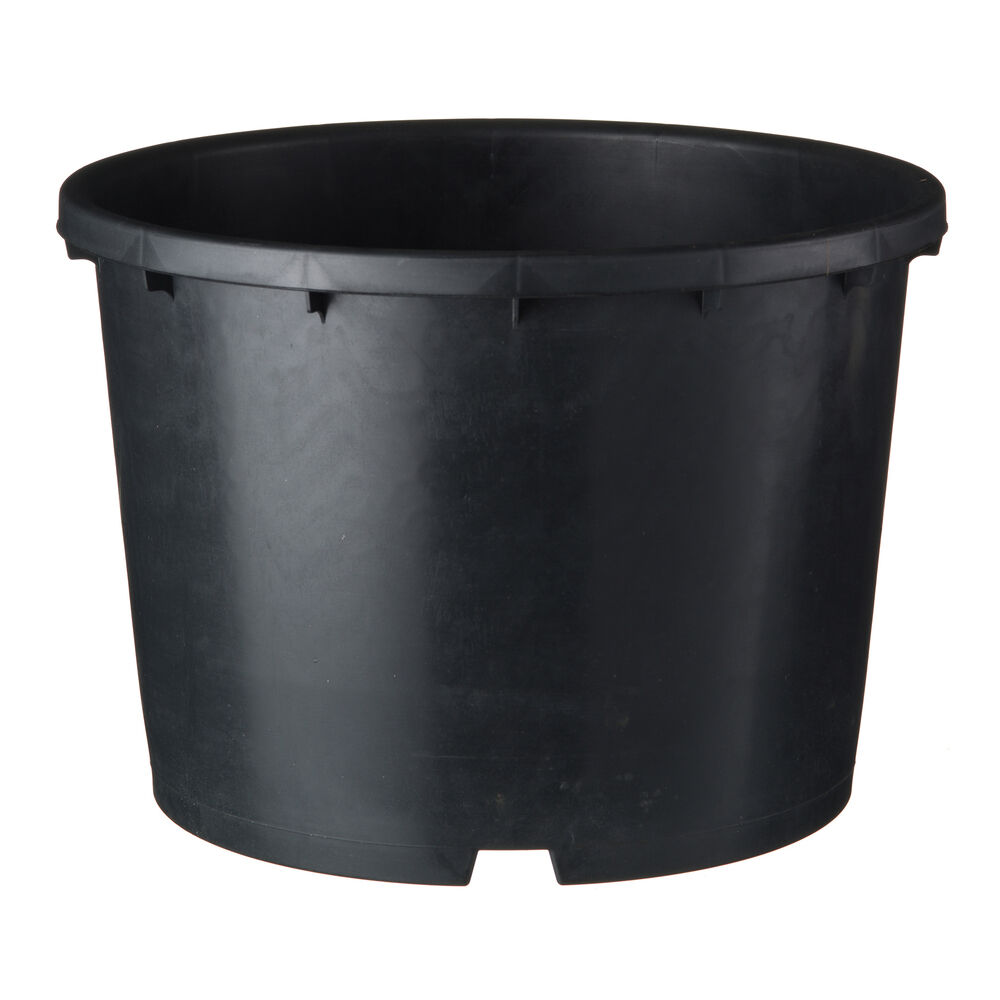 Nature Plantcontainer Ritzi - Kweekbenodigdheden - 46.5x55.5x40.5 cm Nature Plantcontainer Ritzi - Kweekbenodigdheden - 46.5x55.5x40.5 cm