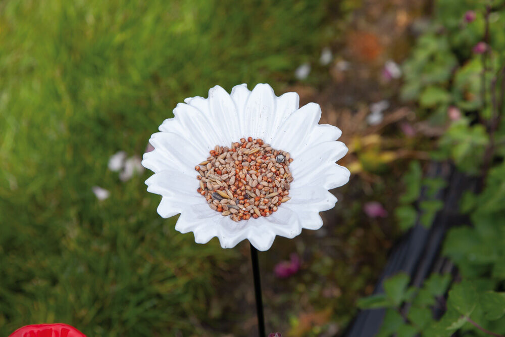 Bird Gift Margriet -Voederschaal op steker - Ø15x72 cm