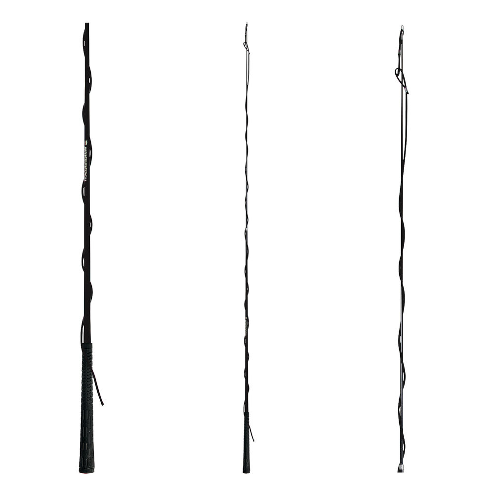 Waldhausen Telescopisch - Longeerzweep - Zwart - 300.00 cm