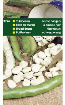 Hortitops Tuinbonen Vicia faba Leidse Hangers - Groentezaden Hortitops Tuinbonen Vicia faba Leidse Hangers - Groentezaden