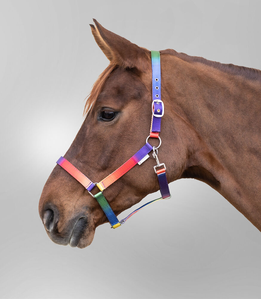 Waldhausen Halster - Rainbow - Multi - Cob