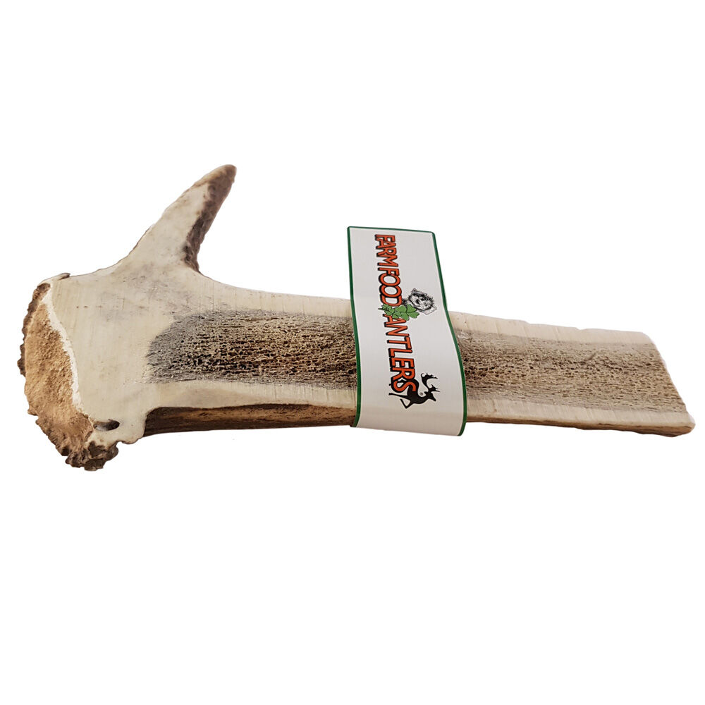 Farm Food Antlers Easy Hertengewei - Hondensnack - hertengewei - XL Farm Food Antlers Easy Hertengewei - Hondensnack - hertengewei - XL