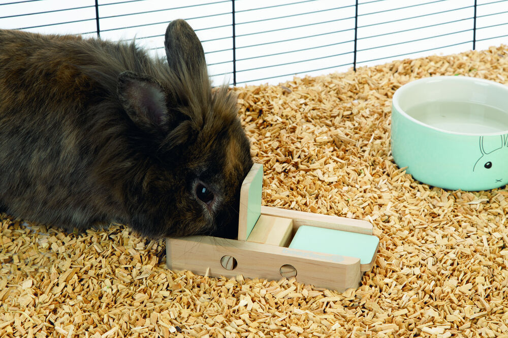 Beeztees Dorix - Braingame - Mint - 3x7x15 cm