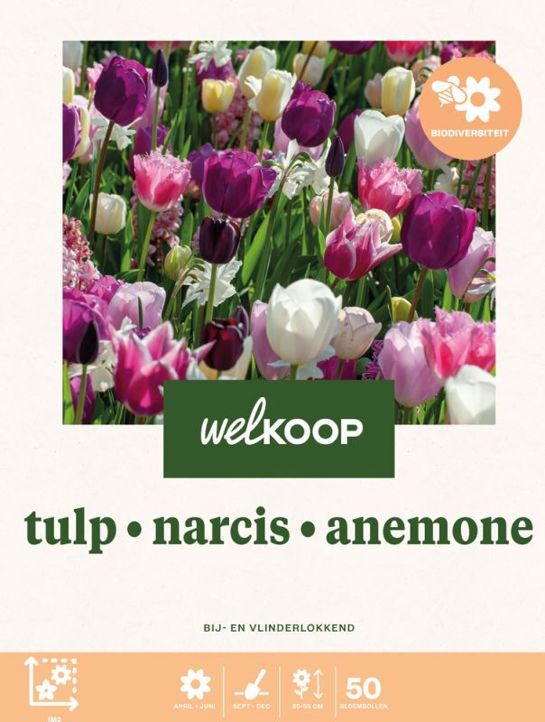Welkoop Tulp Narics Anemone - Biodiversiteit - Bloembollen Welkoop Tulp Narics Anemone - Biodiversiteit - Bloembollen