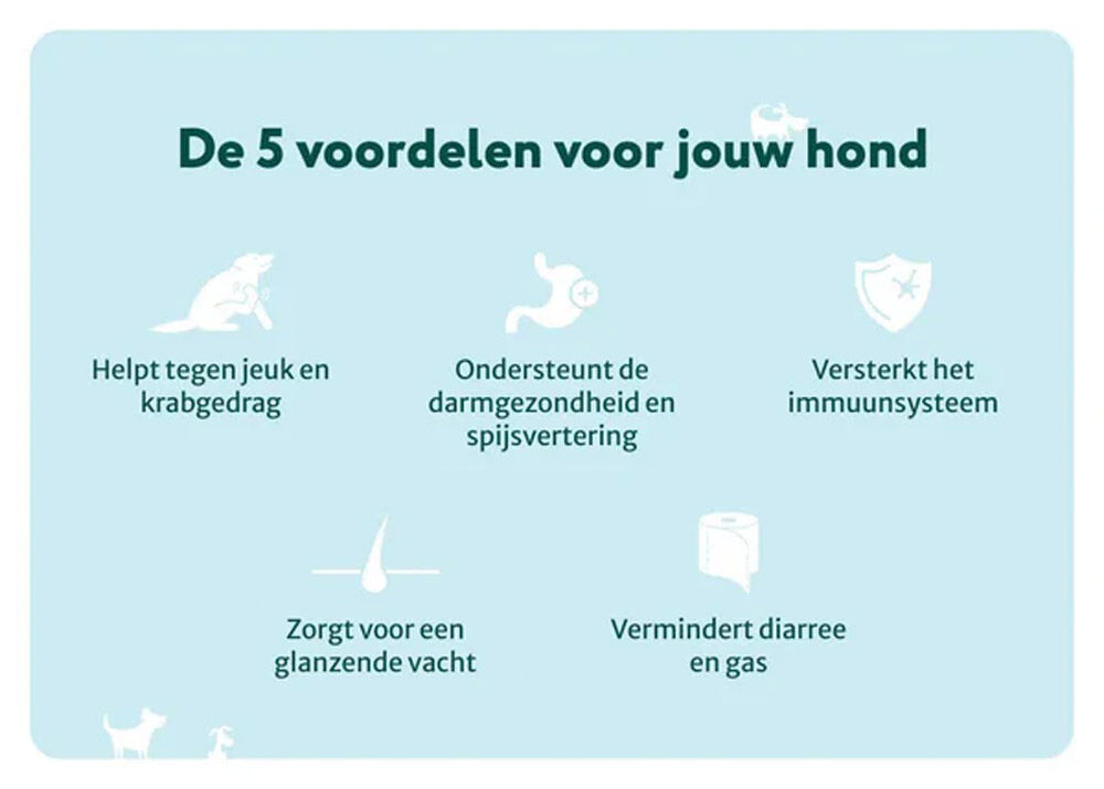 Dogsuppy Anti-Jeuk met Insecten - Probiotica - Insect