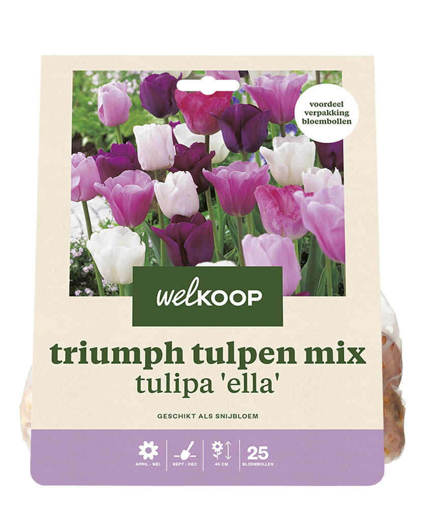 Welkoop Tulpen mix Elisha - Bloembollen Welkoop Tulpen mix Elisha - Bloembollen