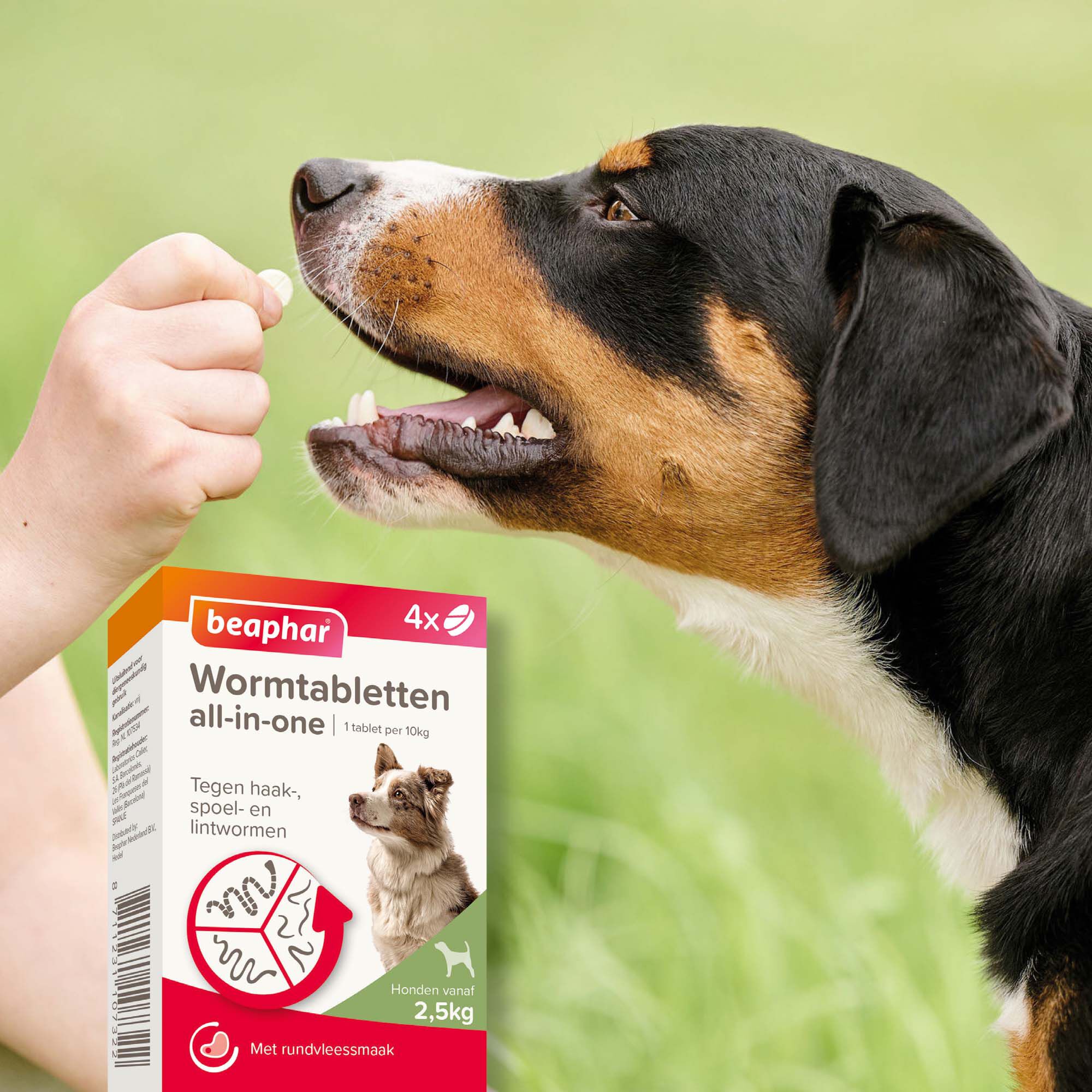 Beaphar All-in-one Tabletten - Ontwormen Hond - S/M