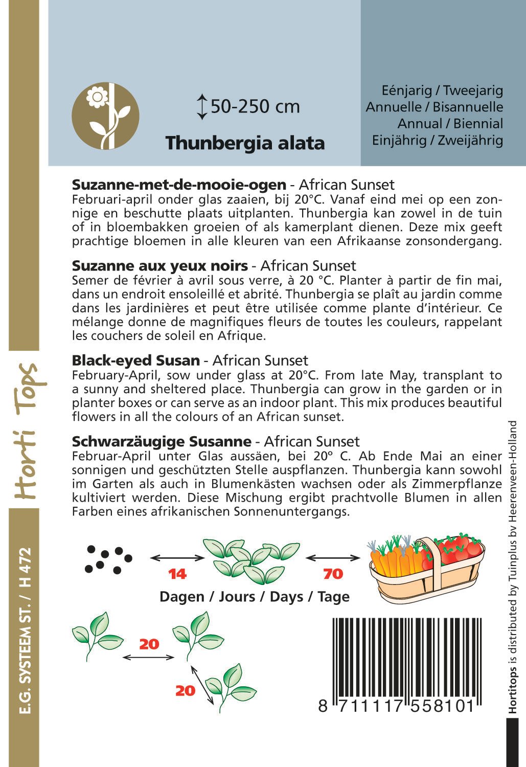 Hortitops Suzanne-met-de-mooie-ogen mix Thunbergia alata  - Bloemzaden