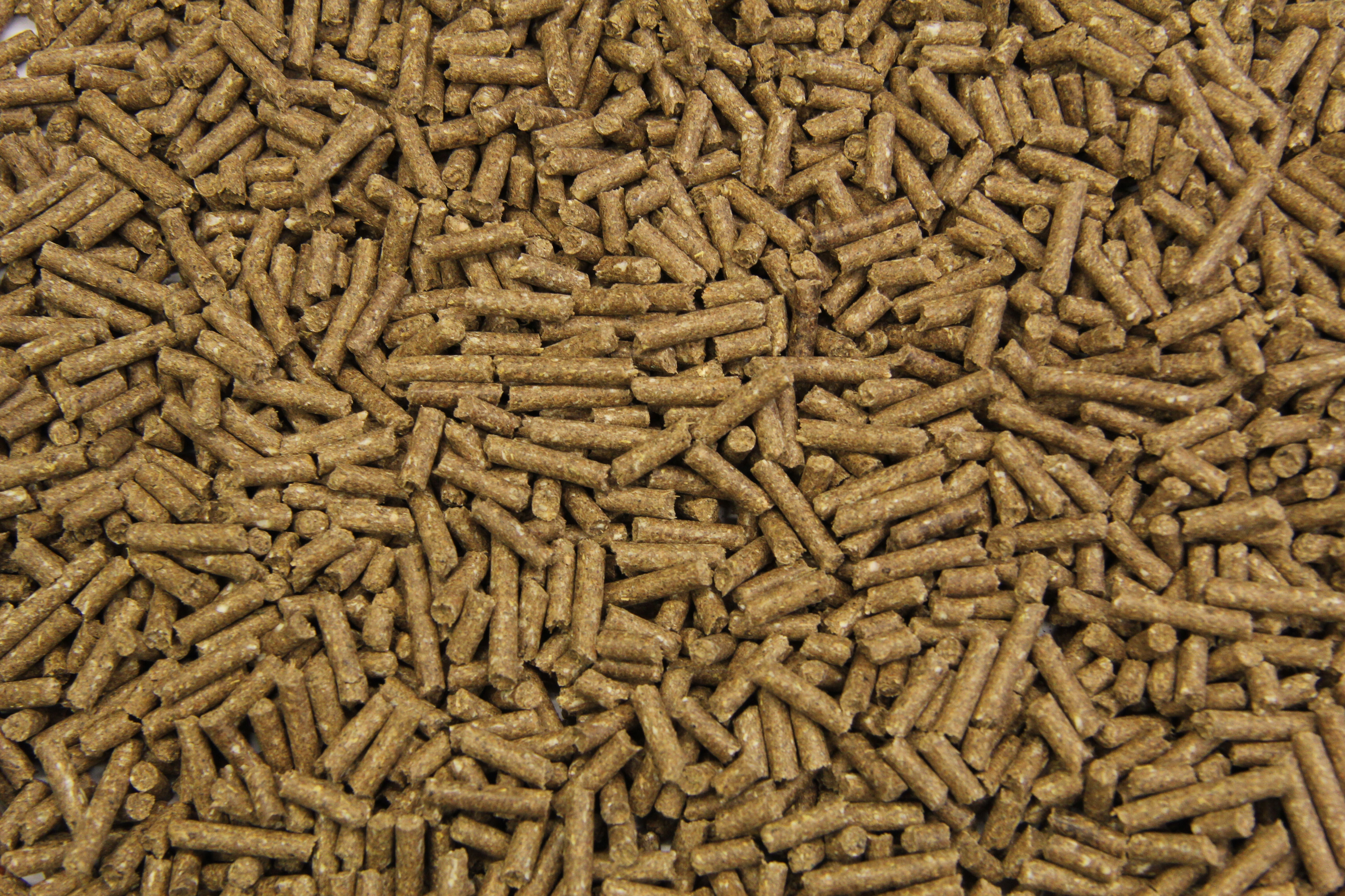 Subli Basisbrok - Basisvoeding - Paardenvoer - 20 kg - Zak