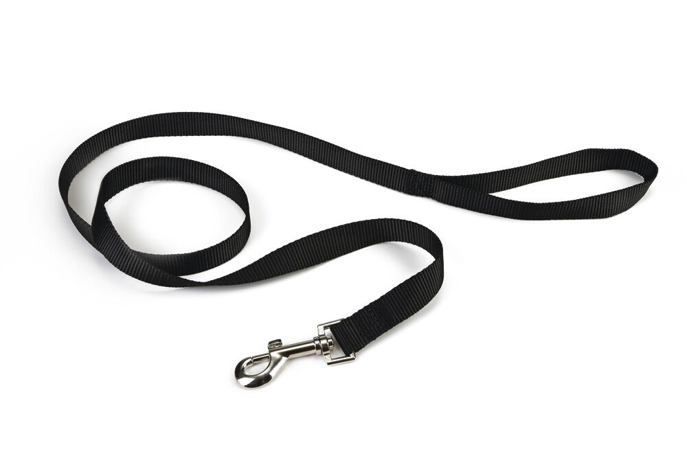 Beeztees - Hondenriem - Zwart - 1.5 cm - 100 cm Beeztees - Hondenriem - Zwart - 1.5 cm - 100 cm