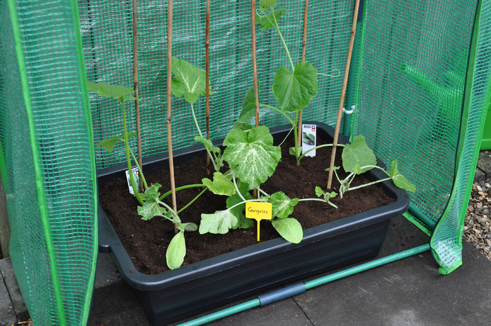 Royal Well Zaaikist 40L  - Kas accessoires - Zwart - 18x40x60 cm