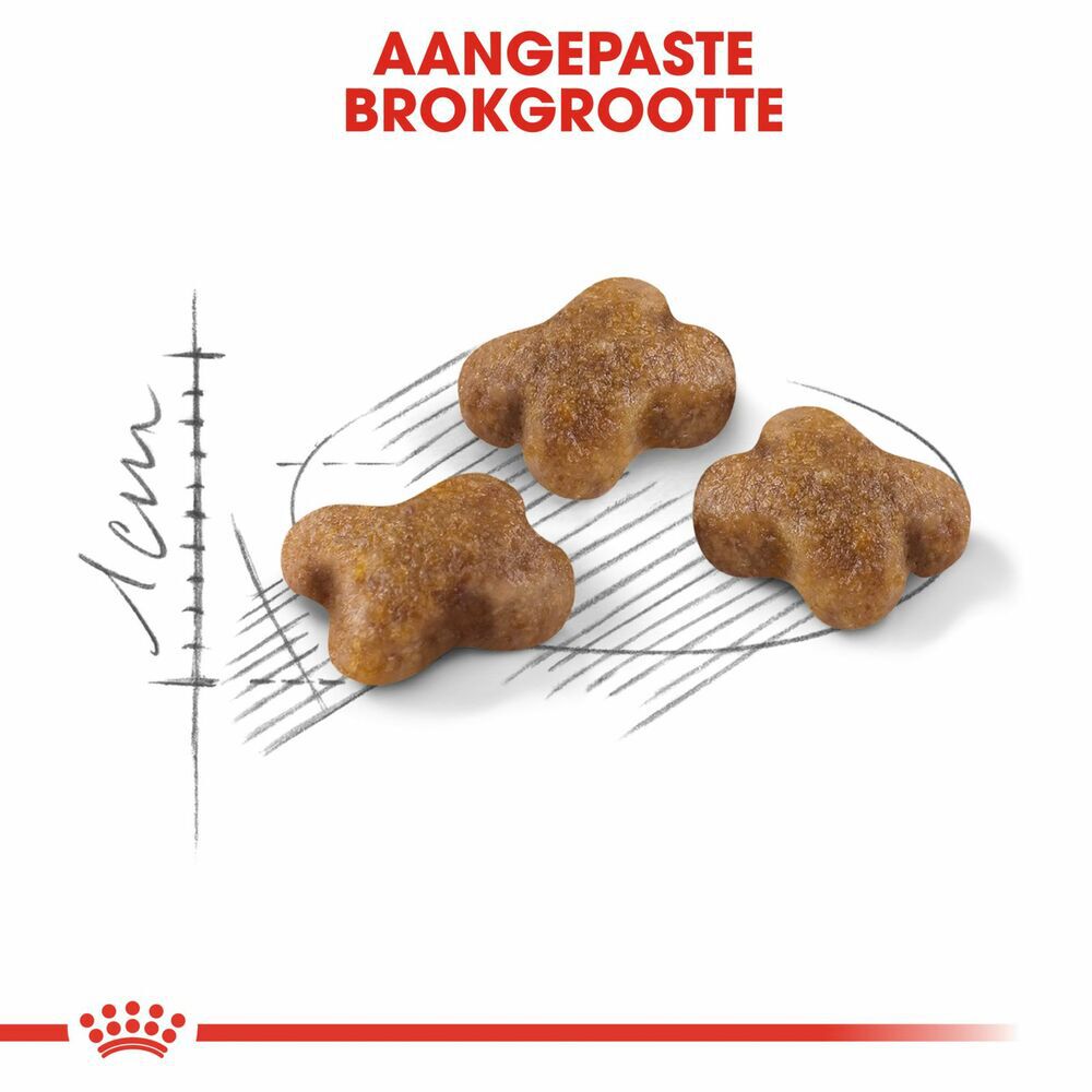 Royal Canin Kitten - Kattenvoer - 2 - Gevogelte