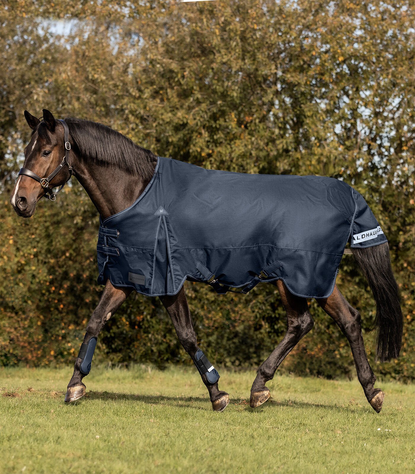 Waldhausen Arctic 300 gr - Winterdeken - Paardendeken - 1.00 cm - Blauw - 1.00 cm - 115/165 - 1.00 cm