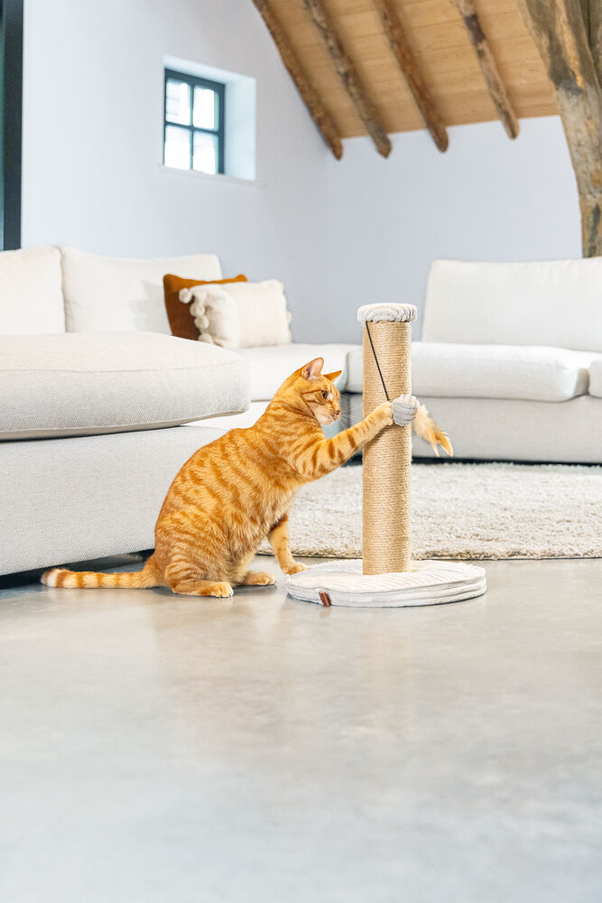 Designed by Lotte Ribbed - Krabpaal - Lichtgrijs - 51x35x35.5 cm