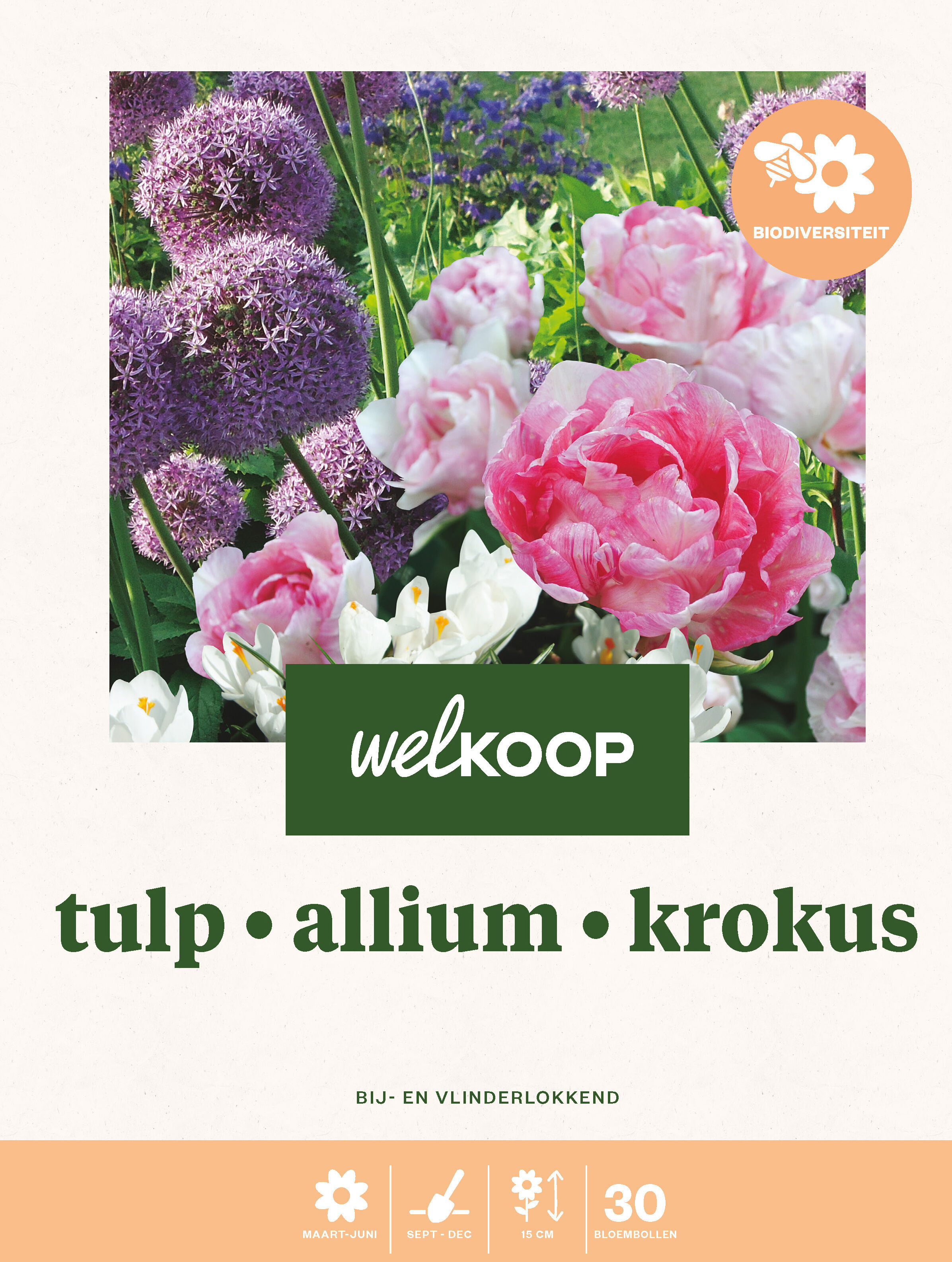 Welkoop Tulp Allium Krokus Biodiversiteit  - Bloembollen
