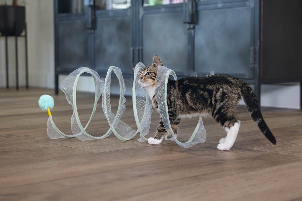 Beeztees Gabi - Katten Speelspiraal - 25.00 cm - 25.00 cm - 1.00 cm