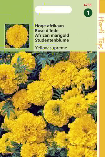Hortitops Hoge Afrikaan Yellow Supreme - Bloemzaden Hortitops Hoge Afrikaan Yellow Supreme - Bloemzaden