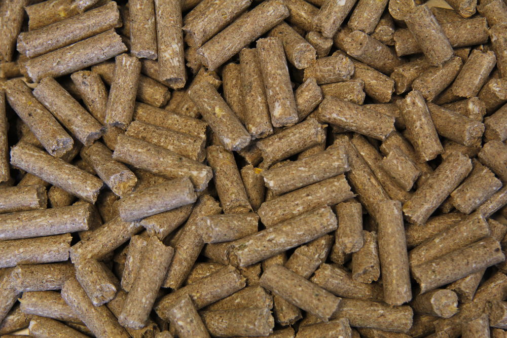 Voermeesters Opfok - Fokkerij - 20 kg - Zak