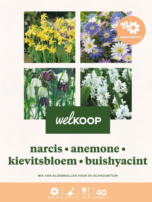 Welkoop Narcis Anemone Kievitsbloem Buishyacint - Biodiversiteit - Bloembollen Welkoop Narcis Anemone Kievitsbloem Buishyacint - Biodiversiteit - Bloembollen