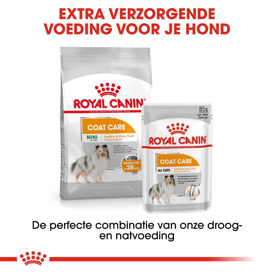 Royal Canin Coat Care Mini - Hondenvoer - 3 - gevogelte