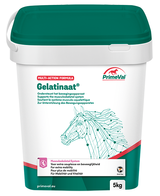 Primeval Gelatinaat - Gewrichtsupplement - Paard - 5.00 - Doos - null