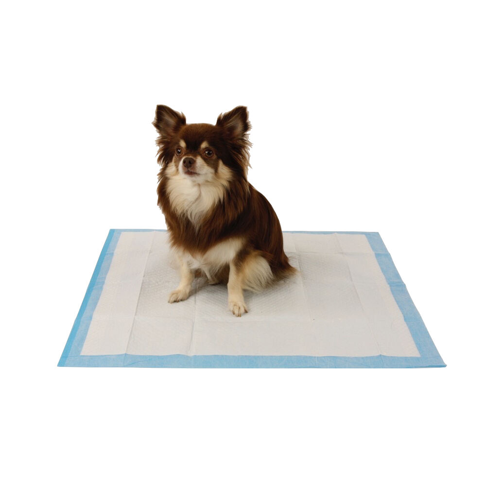 EasyPets Puppy - Trainings pads - 250 - Wit
