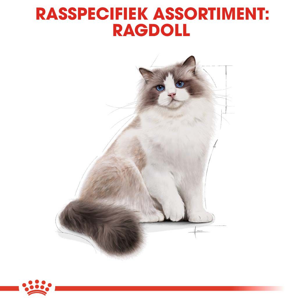 Royal Canin Ragdoll Adult - Kattenvoer - 2 - Gevogelte