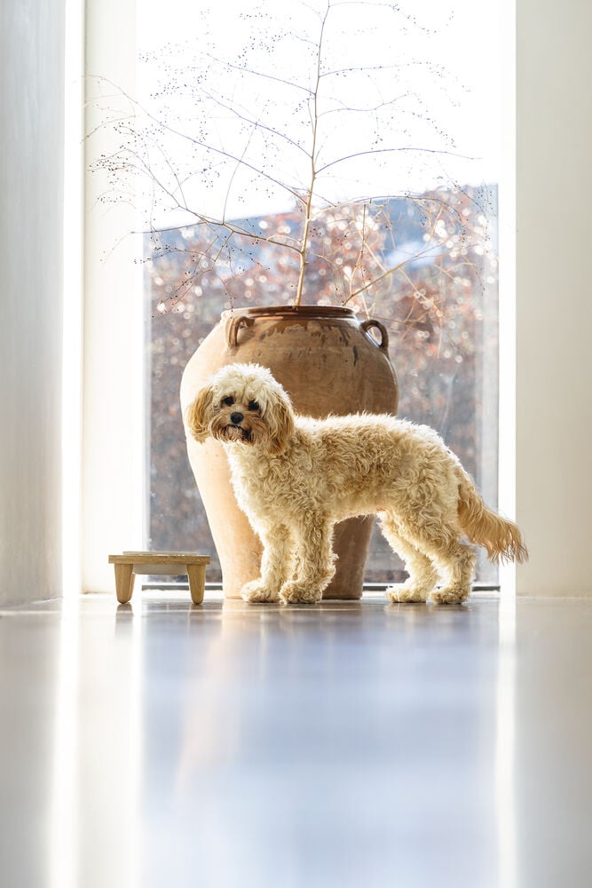 Designd by Lotte - Voer- en drinkbak - Bruin Wit