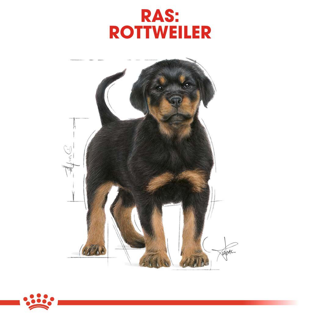 Royal Canin Rottweiler Puppy - Hondenvoer - 12 - gevogelte