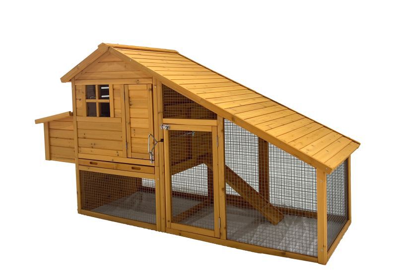 Woods - Kippenhok Woods - Kippenhok