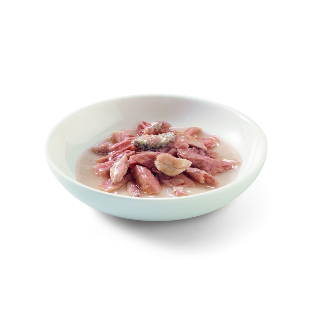 Schesir - Kattenvoer in bouillon - 70 - tonijn en vis