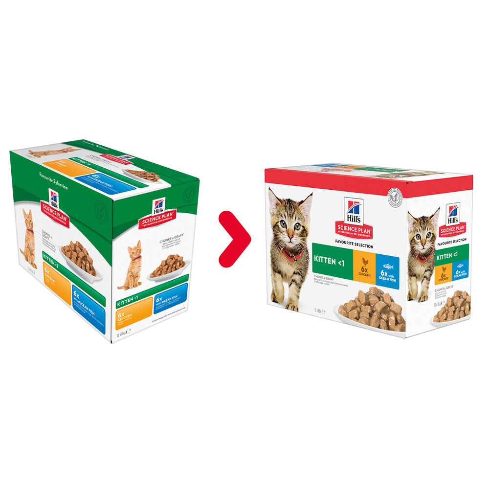 Hill's Science Plan Kitten - Kattenvoer - 12x85 gram