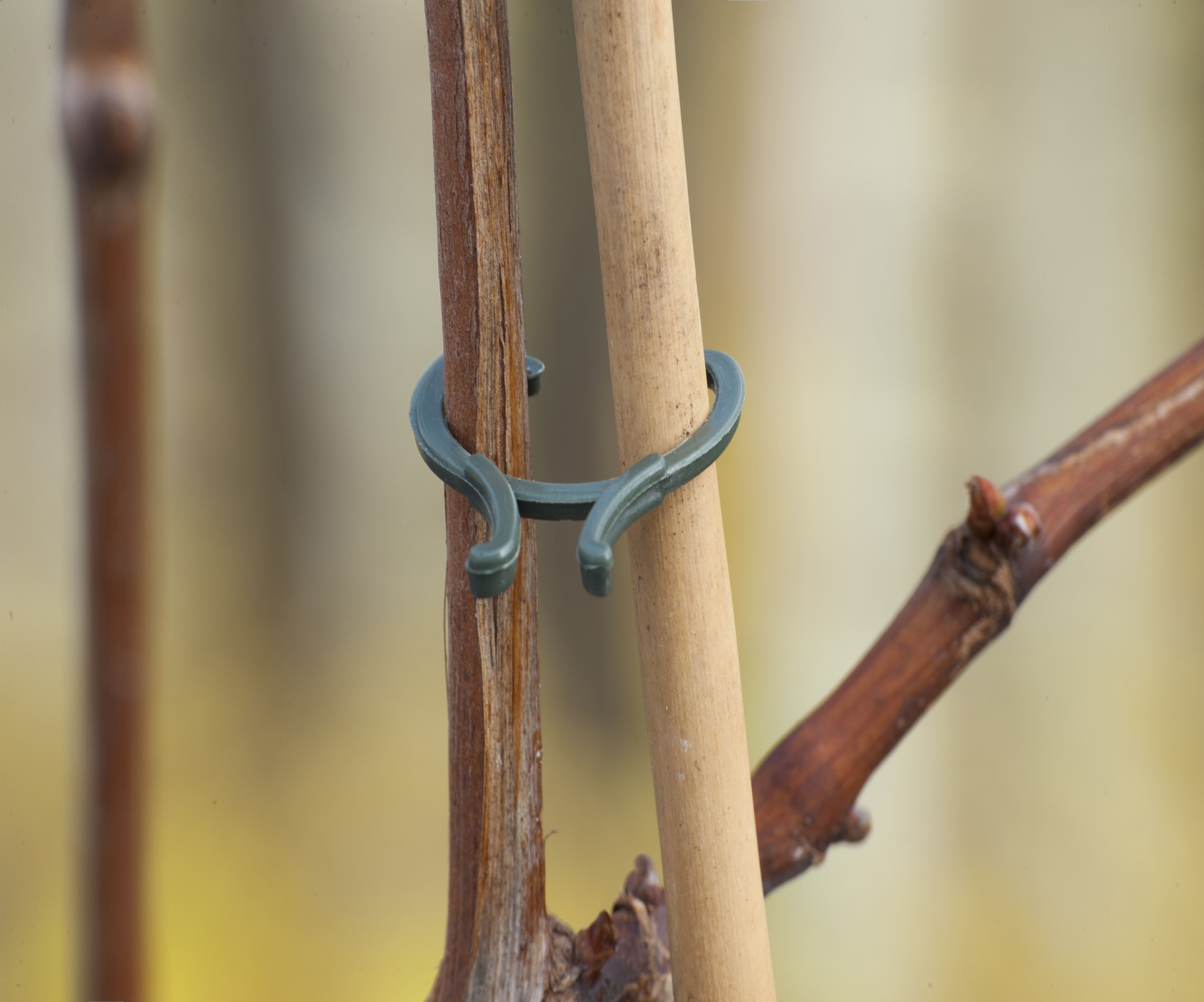 Nature Plastiband - Touw en Bindmaterialen Nature Plastiband - Touw en Bindmaterialen