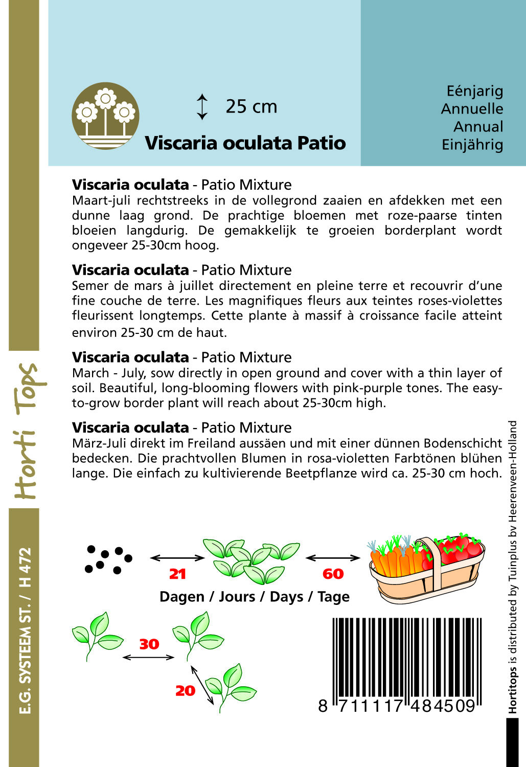 Hortitops Viscaria Patio mix Viscaria oculata - Bloemzaden