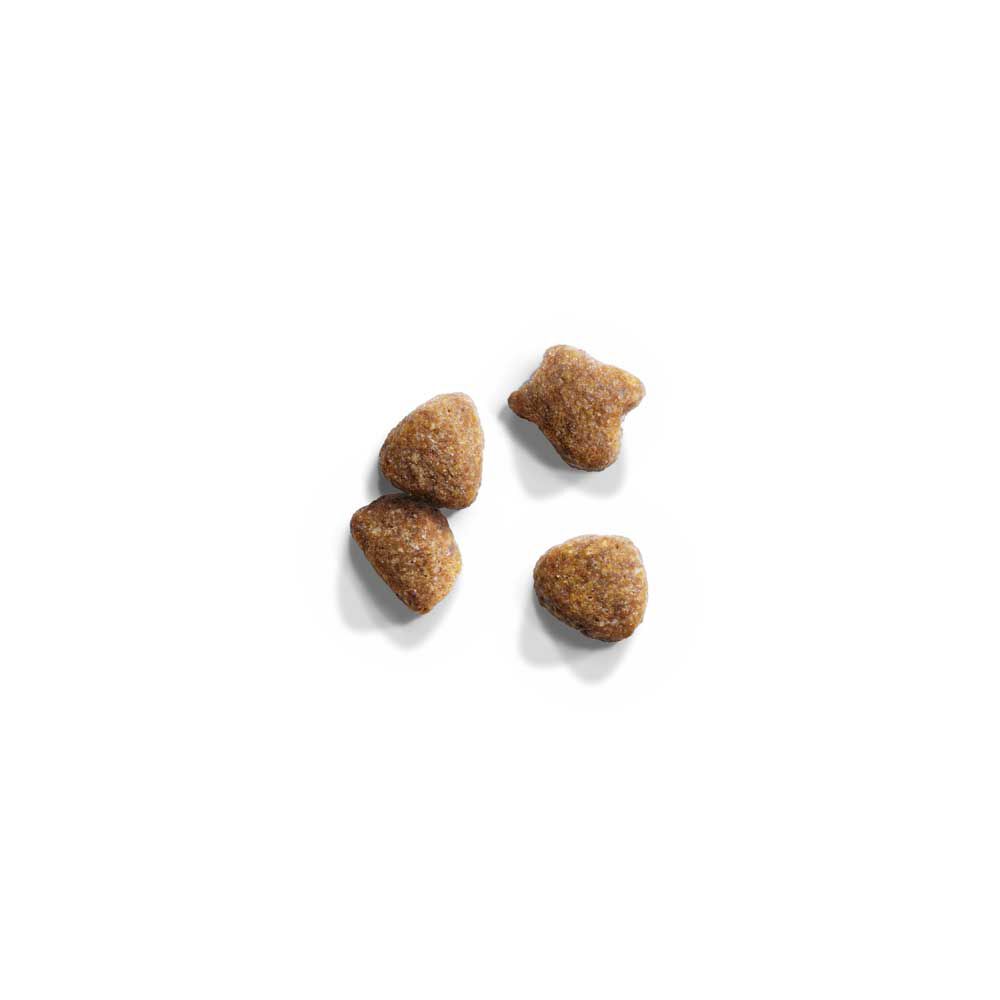 IAMS Adult Multi-Cat - Kattenvoer - Kip - Kalkoen - 15 kg