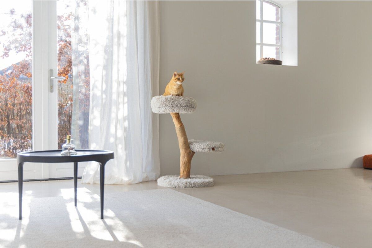 Designed by Lotte Zora - Krabpaal - Grijs - 72x50x50 cm