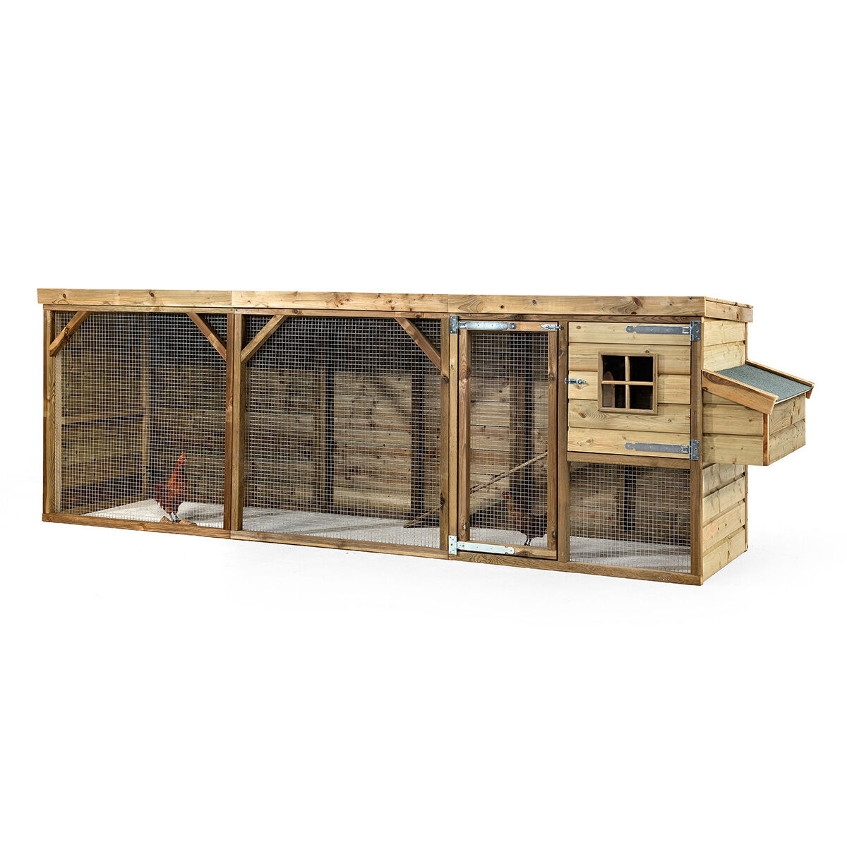 Glorenza  Toby - Kippenhok Glorenza  Toby - Kippenhok