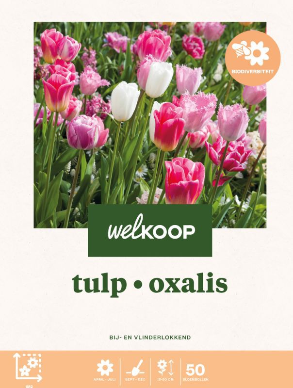 Welkoop Tulp Oxalis Biodiversiteit - Bloembollen Welkoop Tulp Oxalis Biodiversiteit - Bloembollen