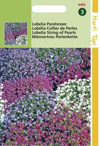 Hortitops Lobelia Parelsnoer - Bloemzaden Hortitops Lobelia Parelsnoer - Bloemzaden