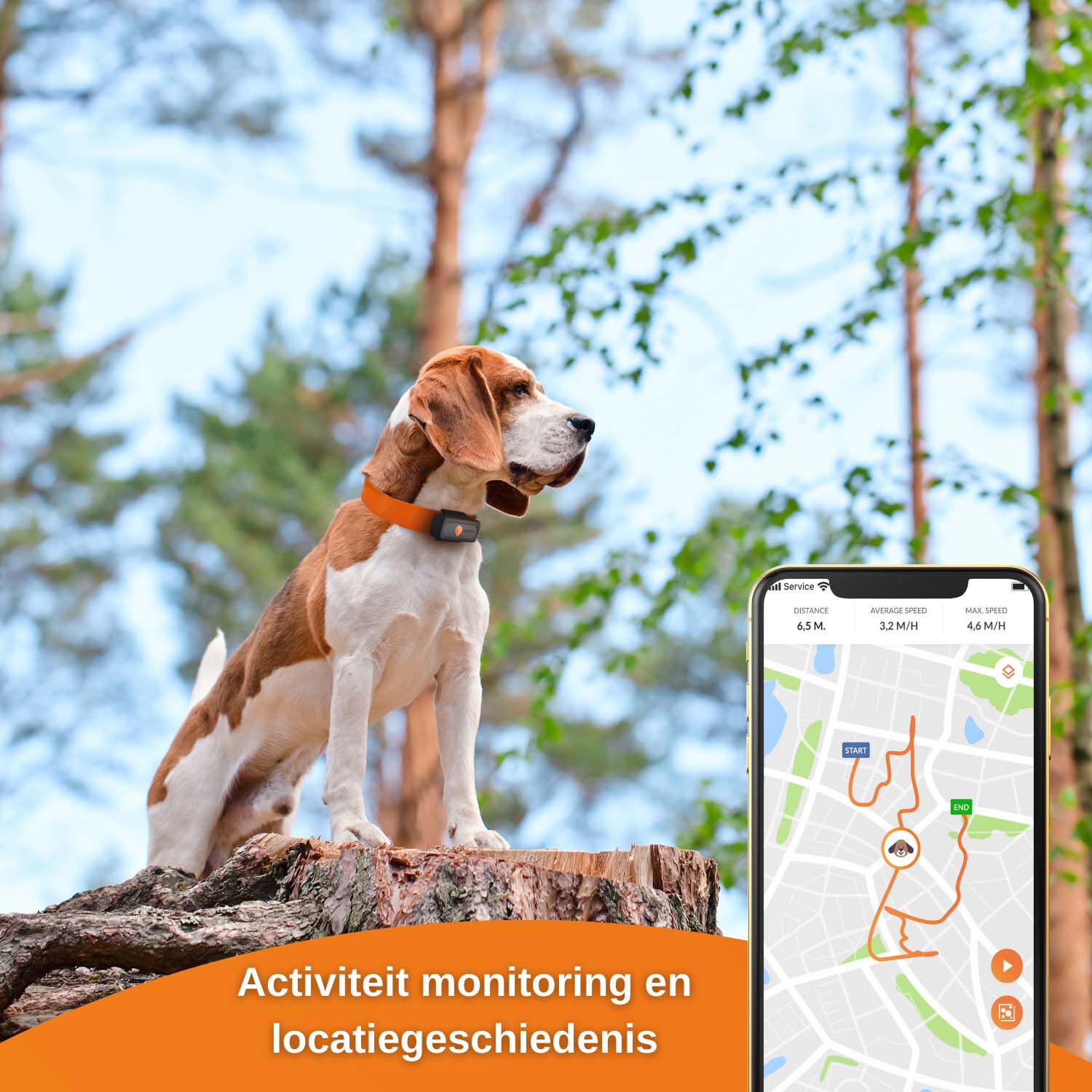 Weenect - GPS tracker Hond - 1.50 cm - zwart - 2.40 cm - XS - 6.00 cm