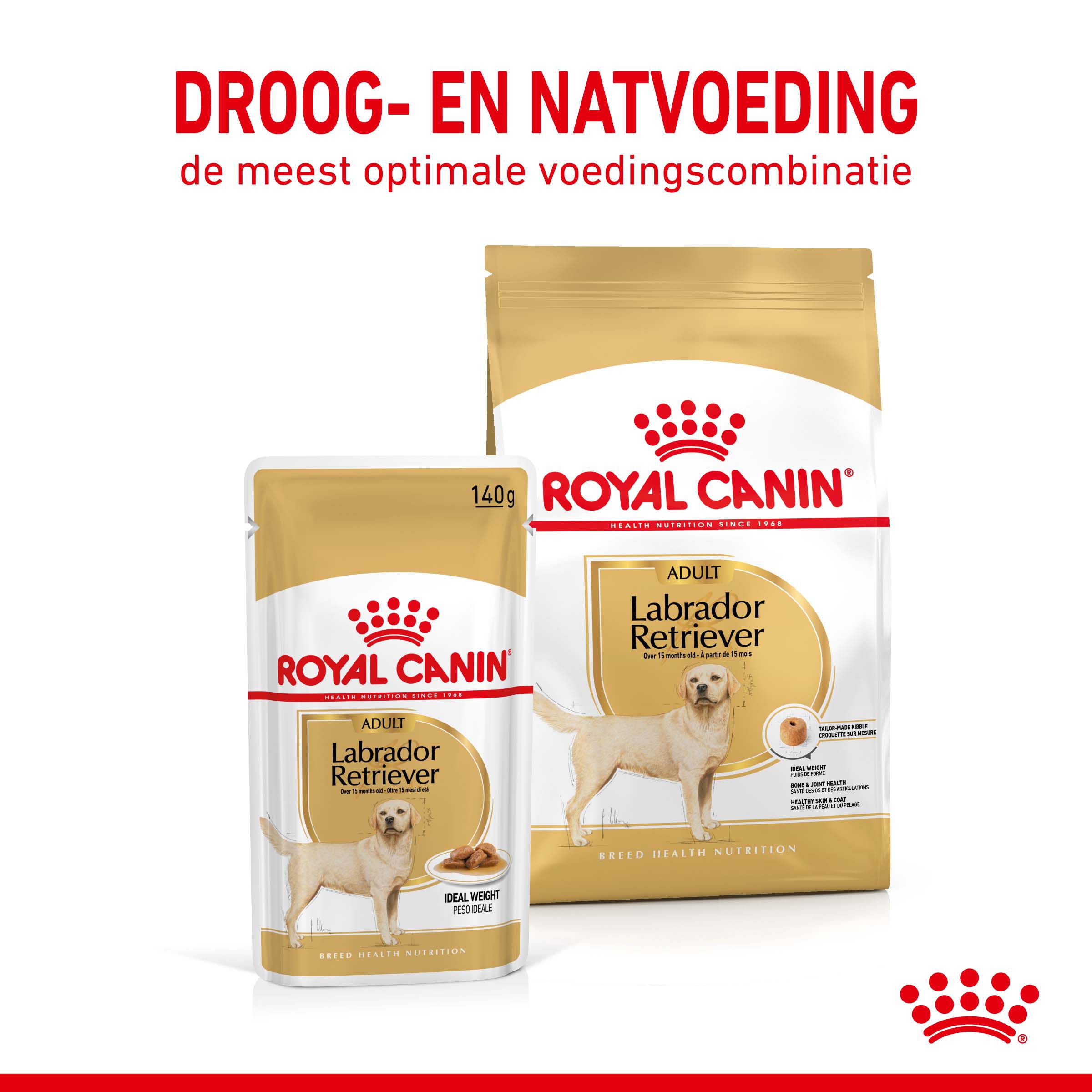 ROYAL CANIN® Adult Labrador Retriever Natvoer 10x 140gr - Hondenvoer - 1400 - gevogelte