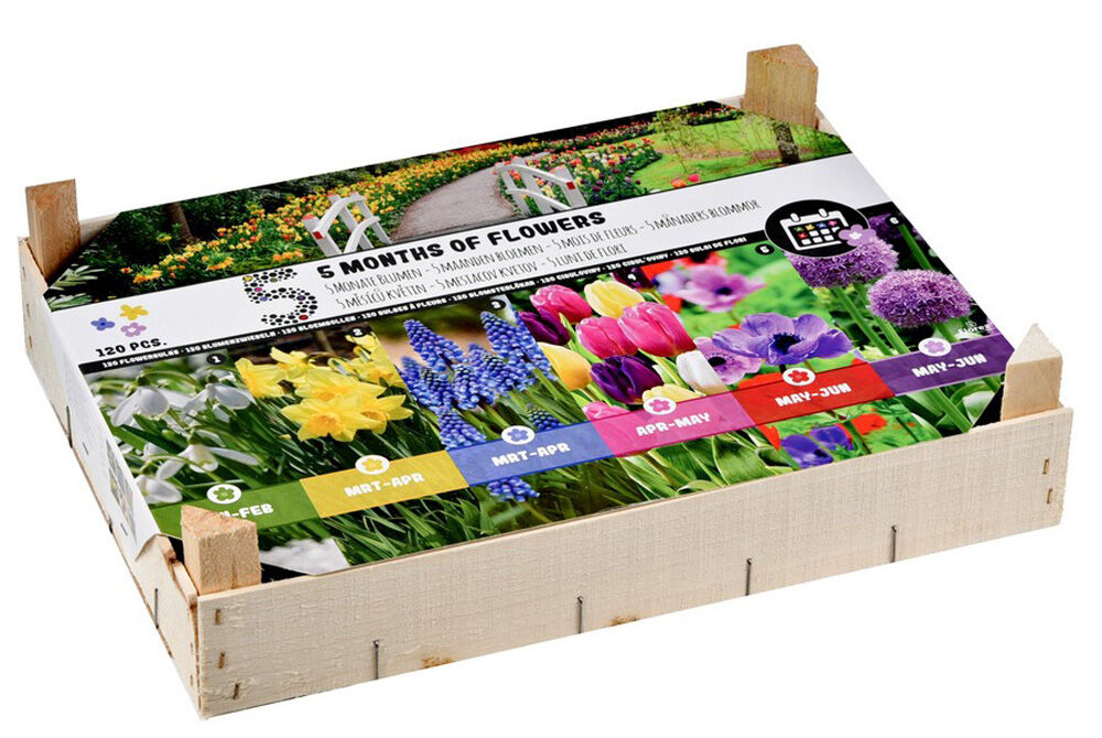 Florex Bloembollen mix - 5 maanden bloemen - in Kistje Florex Bloembollen mix - 5 maanden bloemen - in Kistje